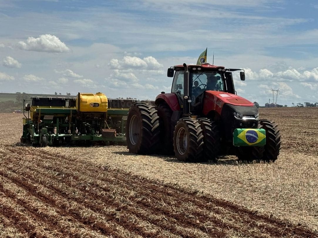 Cómo preparar el terreno antes de sembrar